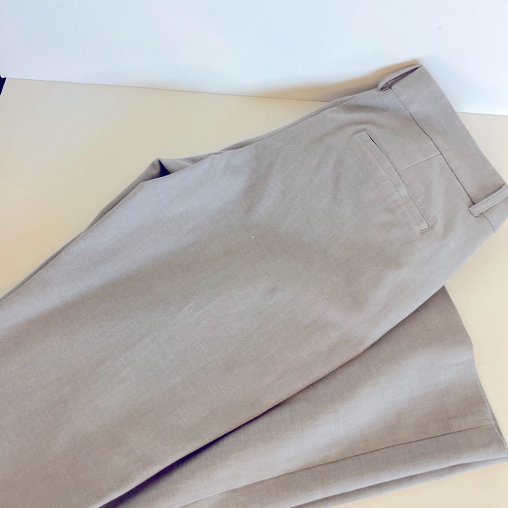 Express Dress Pants